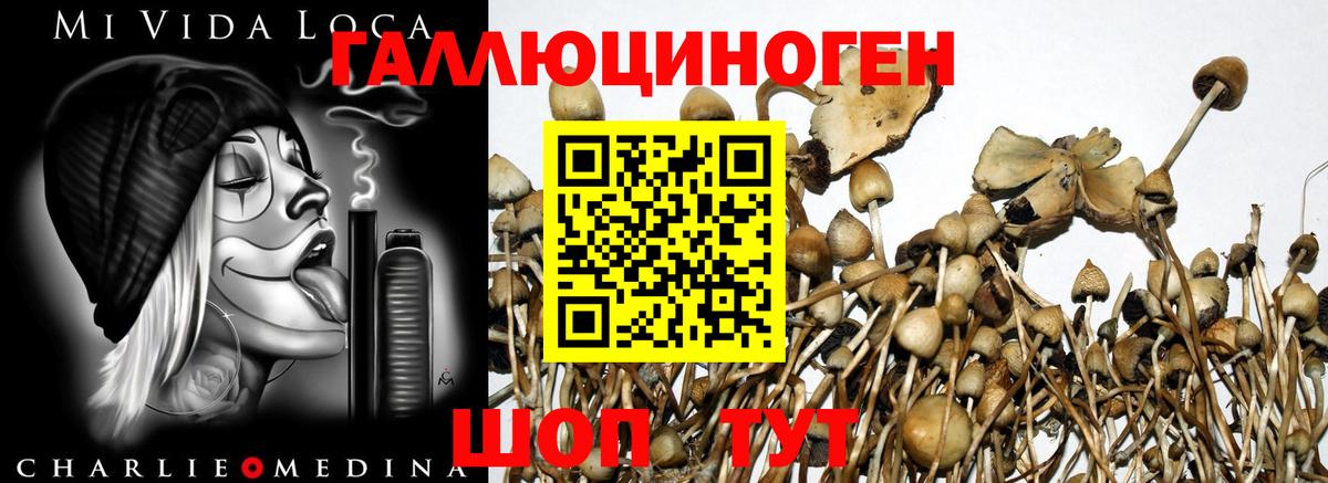 Галлюциногенные грибы прущие грибы Новоуральск