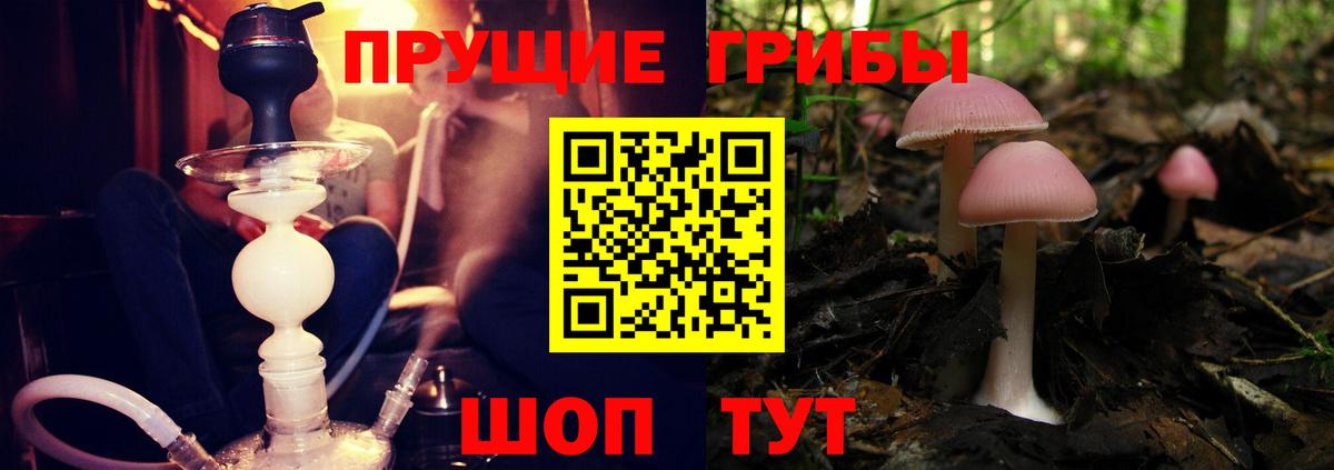Псилоцибиновые грибы прущие грибы  Вход с VPN  наркотики  Новоуральск 